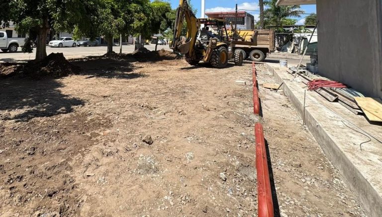 ¡Tienen 20 años! Piden vecinos evitar tala en Navolato