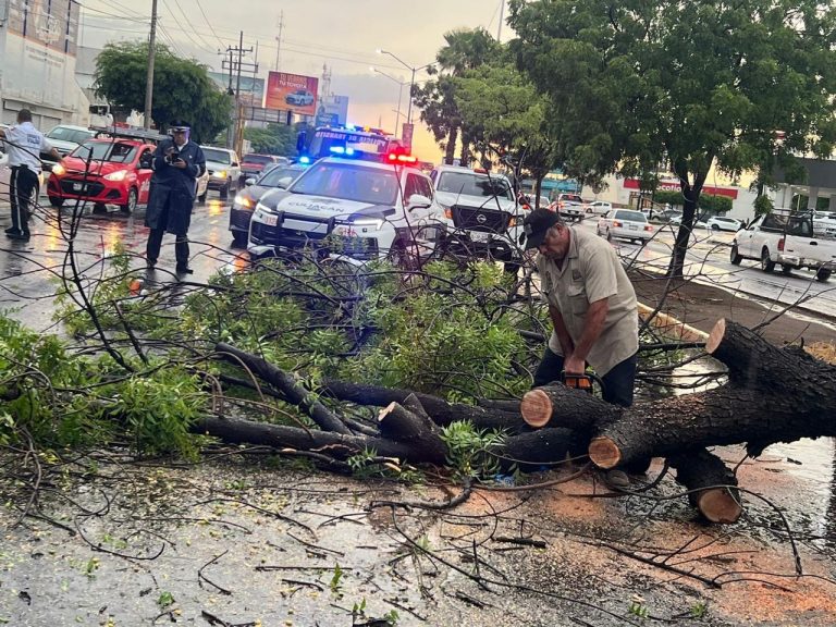 Hace Culiacán recuento de daños tras tormenta