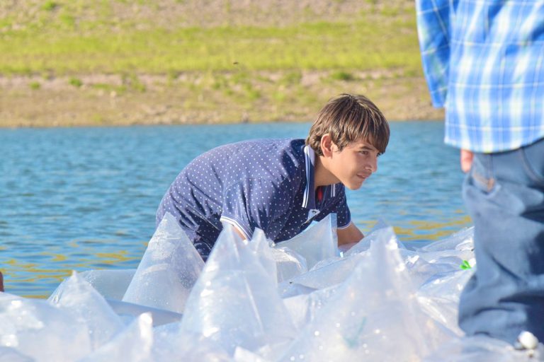 Cierra tercera etapa de repoblamiento de alevines en presas