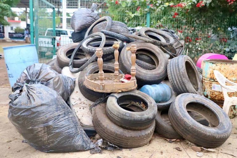 Baja Sinaloa al sitio 14 en dengue en México