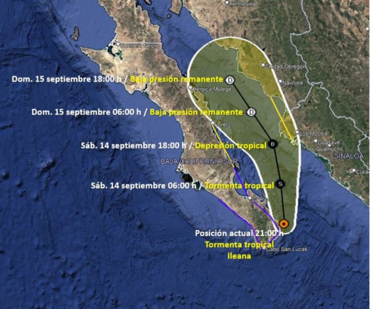 Roza Ileana costa de Los Cabos