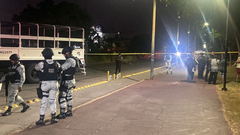 El séptimo homicidio: afuera del Jardín Botánico