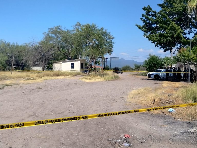 Suman 8 ejecutados este martes