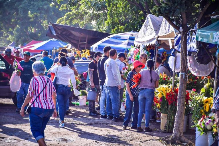 Dan hasta el 29 de octubre para trámite de venta en panteones