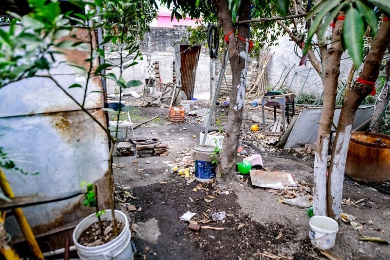 Fumigarán Mazatlán por alta incidencia de dengue