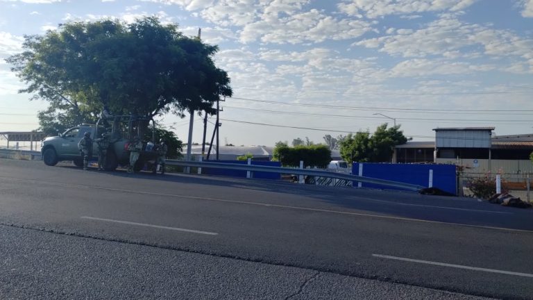 Reportan 4 cadáveres en carretera la 12