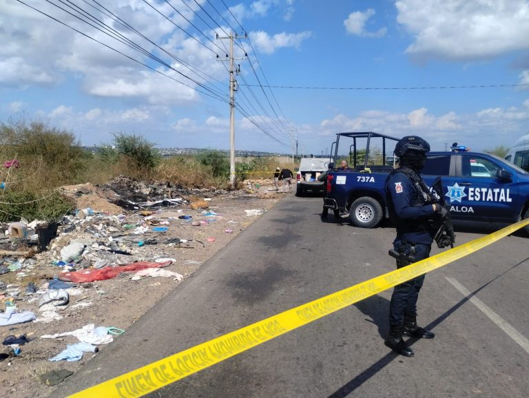 Destapan animales huesos humanos al sur de Culiacán