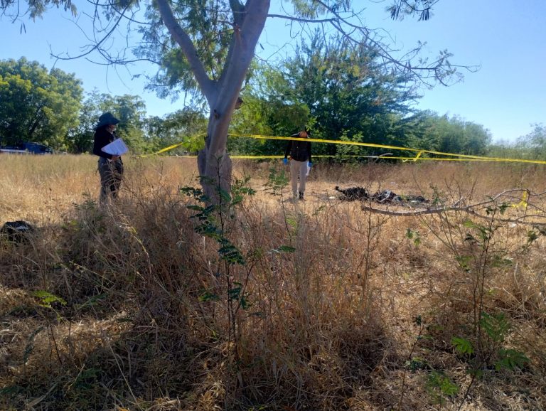 Dos cuerpos calcinados fueron localizados junto al trébol