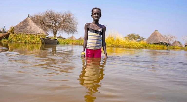 El 2024 será el año más cálido registrado