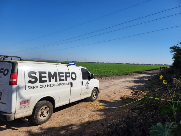 Lo hallan muerto en una parcela en San Pedro, Navolato