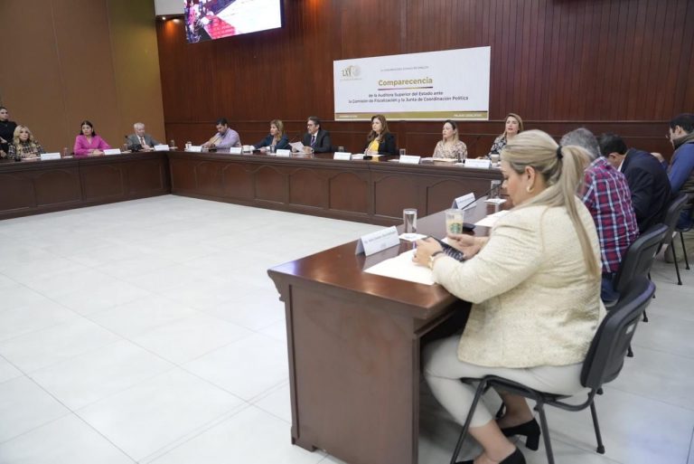 Comparece auditora ante Poder Legislativo