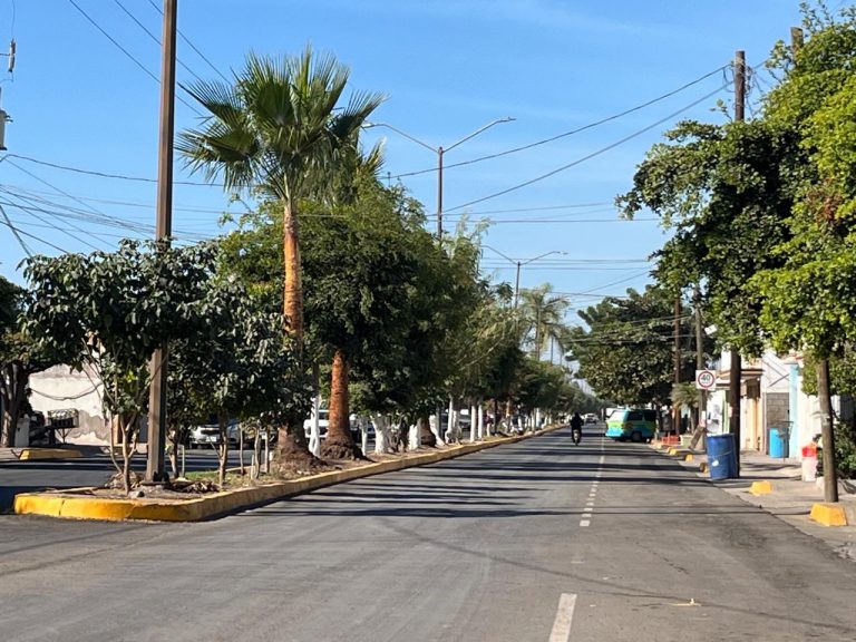 Regala Rocha a Navolato revestimiento del Roque Espinosso