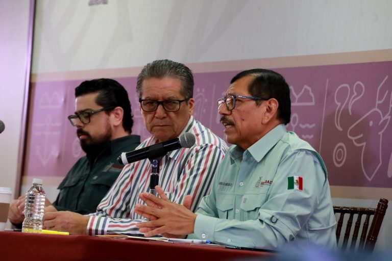 Caen 4 con armas, droga y autos