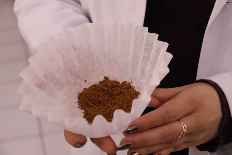 Busca la UAS combinar café y oliva contra diabetes