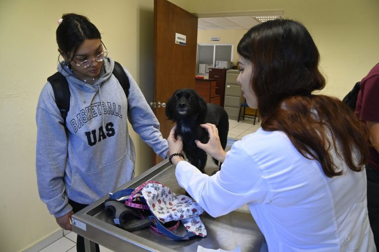 Por cohetes, perros, aves y gastos del infarto a morir