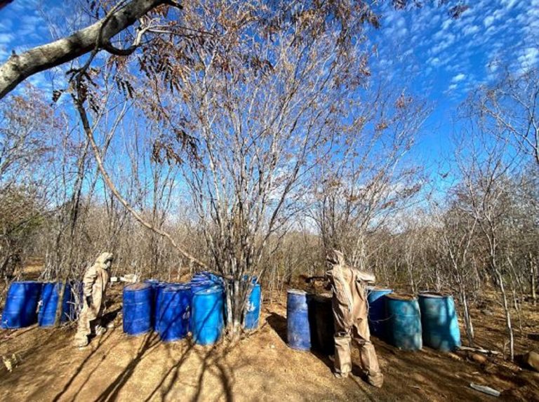 Estima GN incautación en $103 millones al decomisar laboratorios