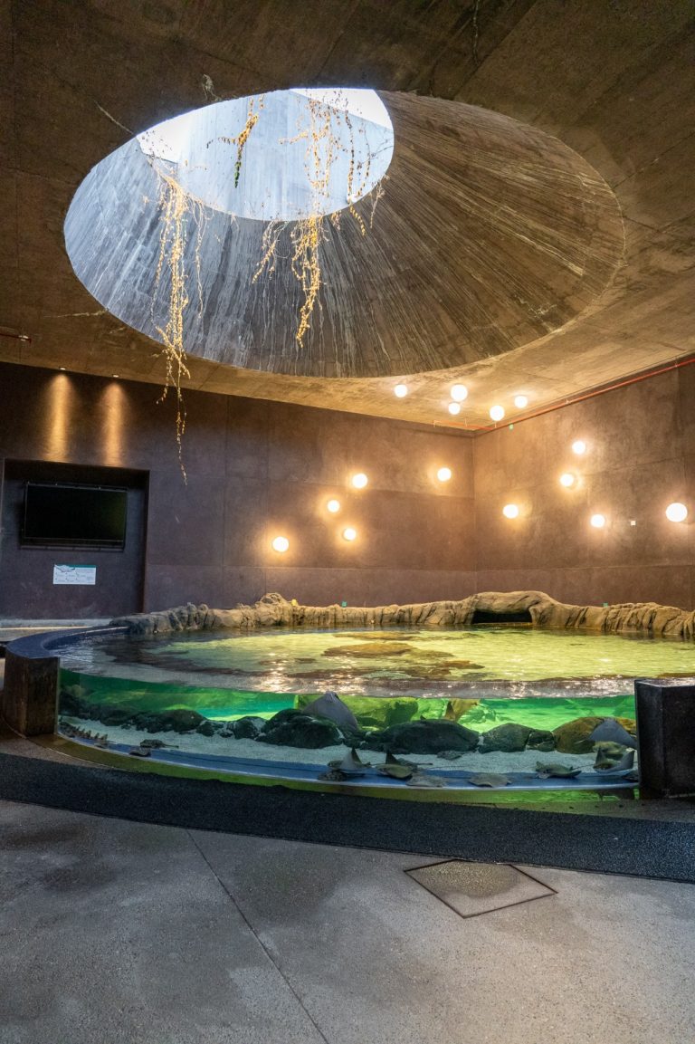 Acuario Mazatlán, a un paso del Nobel de la Arquitectura en América