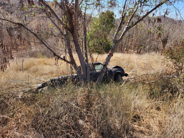 Fallece en accidente vecino de Pericos