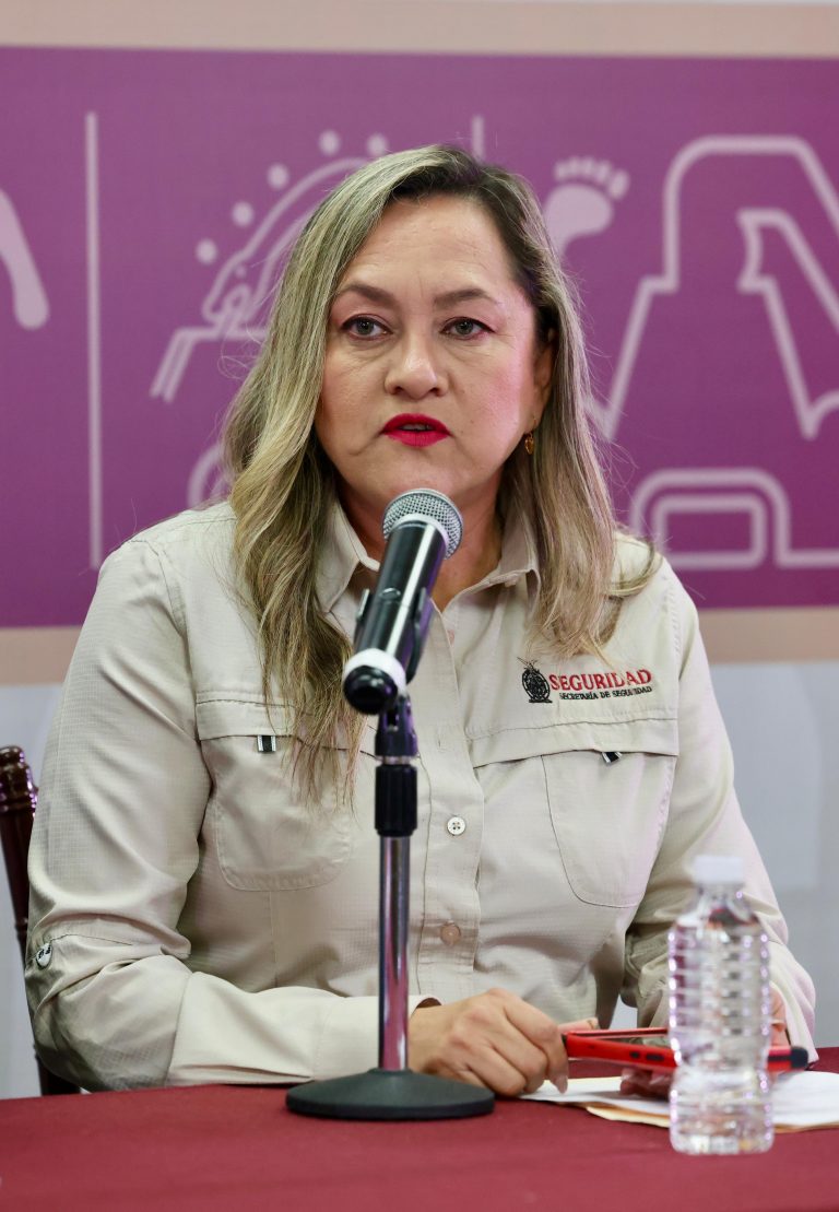 Informa SSP dos autos decomisados en Villa Juárez, Navolato