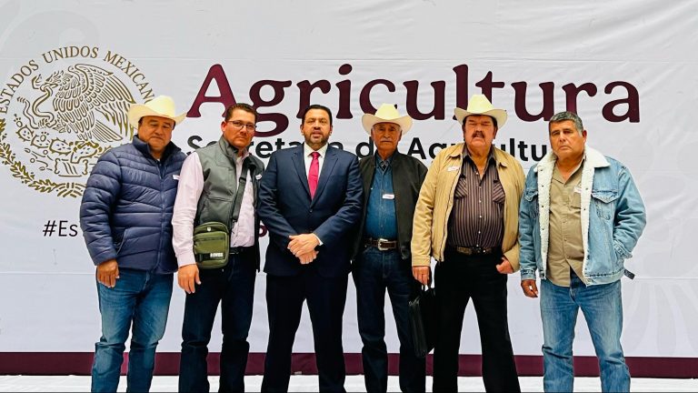 Acuerdan fecha para recepción de documentos de comercialización al trigo