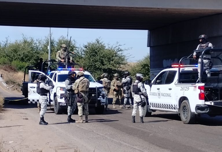 Estaba envuelto en plástico en el trébol de Costa Rica