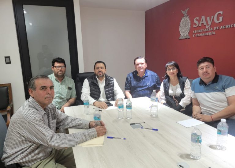 Ofrecerá Sinaloa garbanzo a Dubai