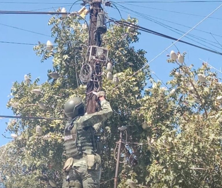 Retiran 64 videocámaras ilegales en infraestructura pública