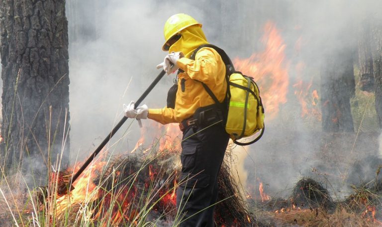 Se perfila alza en incendios al iniciar sequía
