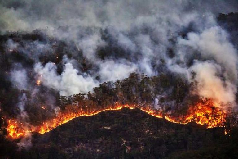 Aumenta el calor; queman incendios mil 129 hectáreas