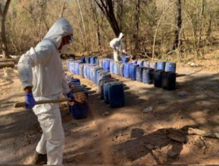 Extienden a Mocorito operativos contra laboratorios