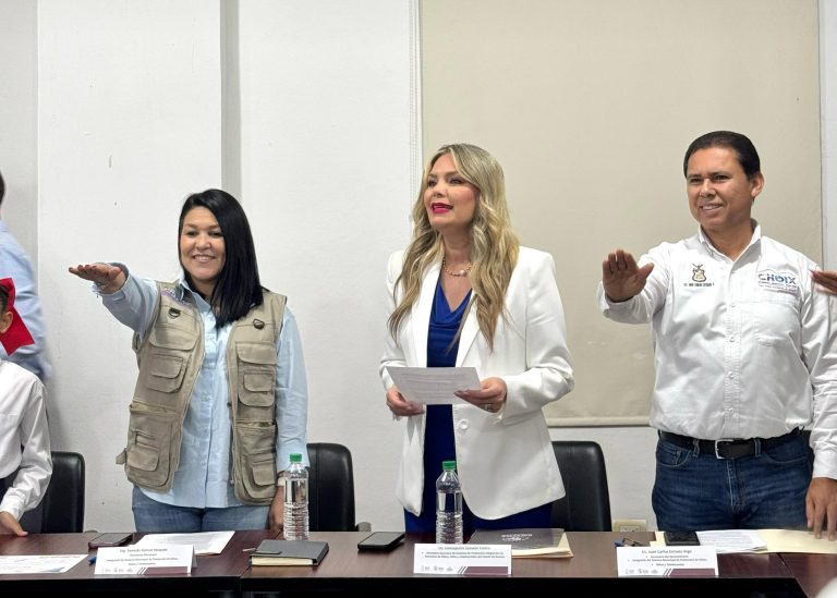 Reinstala Choix órgano de defensa de la niñez