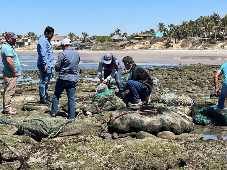 Levantan veda a productos bivalvos de Altata