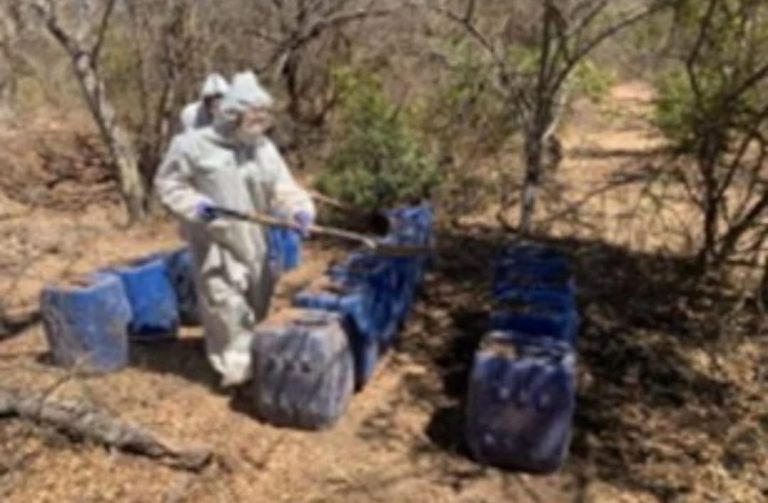 Confiscan 16 laboratorios en 2 días en Culiacán y Cosalá