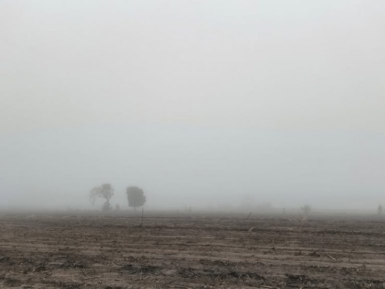 Augura neblina buena temporada de lluvia: especialista
