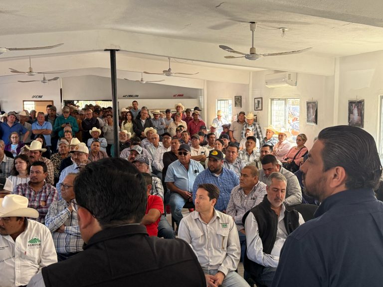 Inicia el 14 de marzo pago a productores trigueros