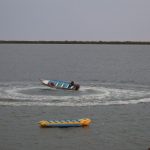 Altata Banana Ayto Nav