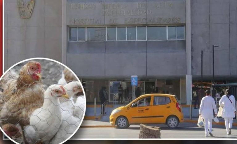 Fallece niña de 3 años de gripe aviar en Coahuila