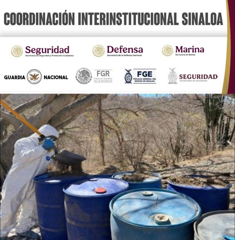 Aseguran laboratorios y plantío en Culiacán, Choix y El Fuerte