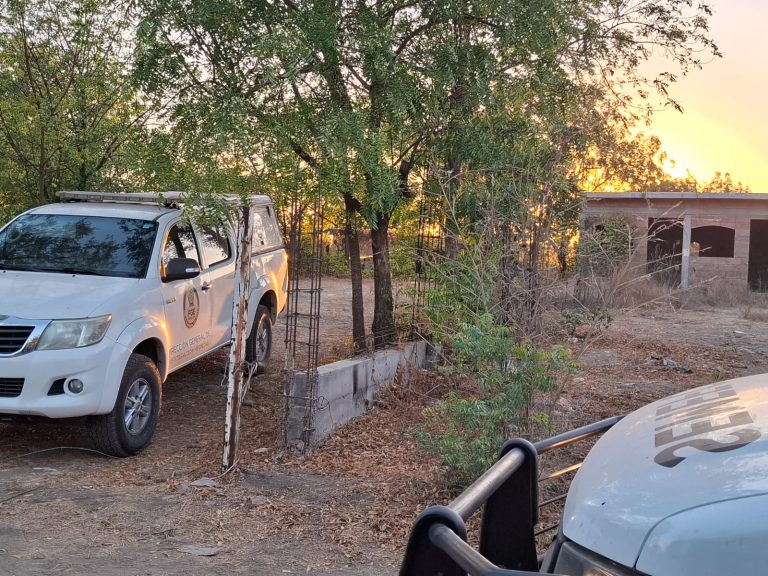 Es ejecutado cerca de la Feria Ganadera