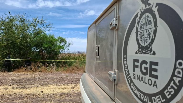 5 asesinatos, el saldo del domingo