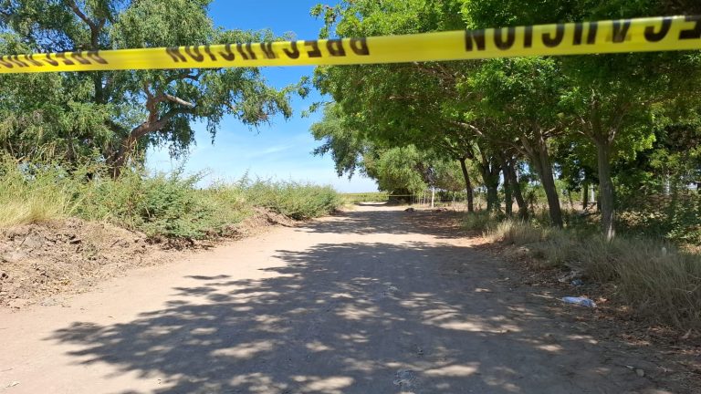 Suman 8 homicidios en martes