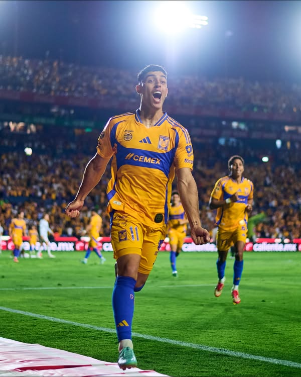 Logra Tigres pase agónico a Semis