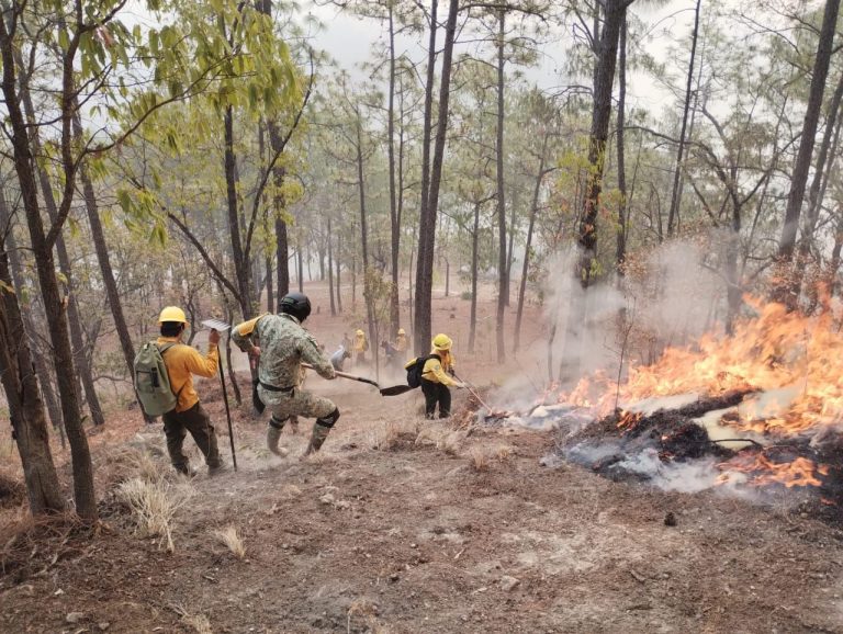Suma 5 días activo incendio en Badiraguato