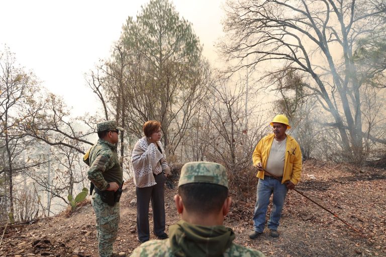 Abren 3 frentes para combatir incendio forestal en Concordia