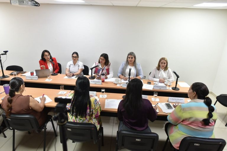 Analizan declaración de la madre en violencia vicaria