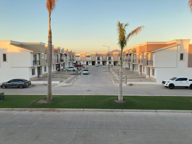 Sugiere especialista de la UAS atender viviendas abandonadas y terrenos baldíos