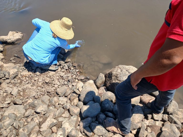 Analizan río en El Fuerte por posible contaminación con plaguicidas