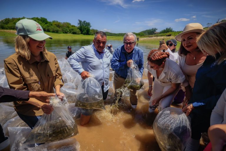 Sembrarán alevines en todas las presas y diques en 12 municipios
