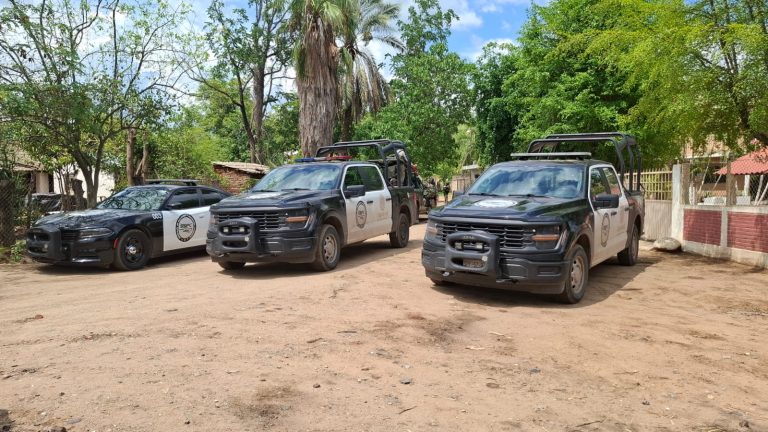 Localizan muertos a 4 en El Pozo, Imala
