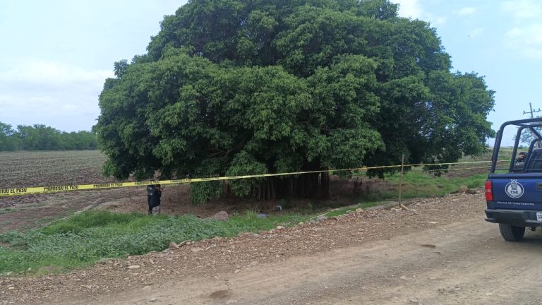 Lo encuentran muerto debajo de un árbol cerca del Seminario